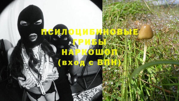 бошки Козловка